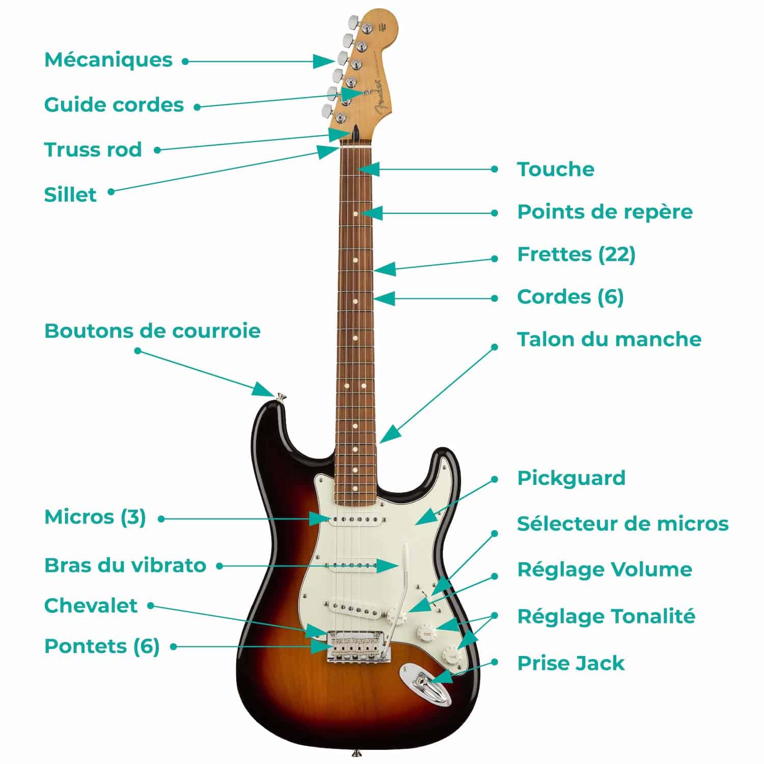 Anatomie de la guitare Electrique